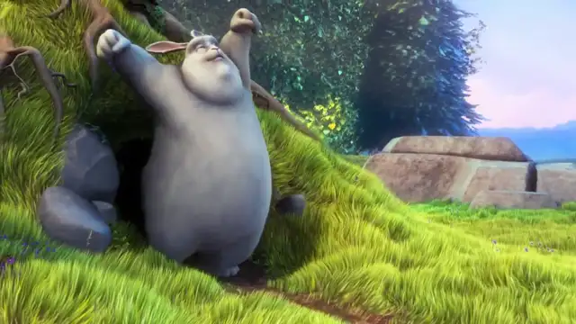 Rabbit video