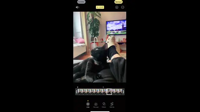 video2024-12-2121-48-13