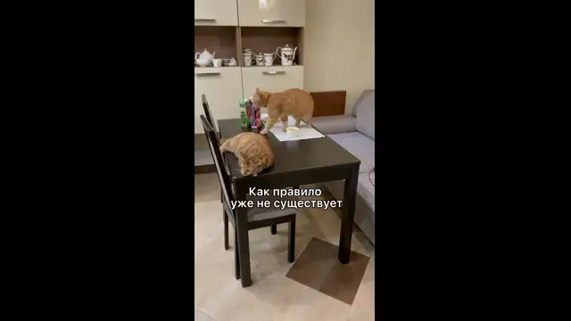 video2025-05-2018-40-10