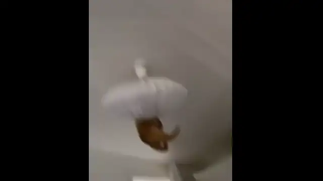 video2025-05-2018-40-45