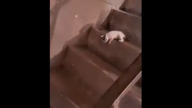 бум
