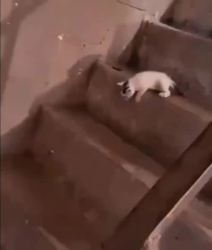 бум