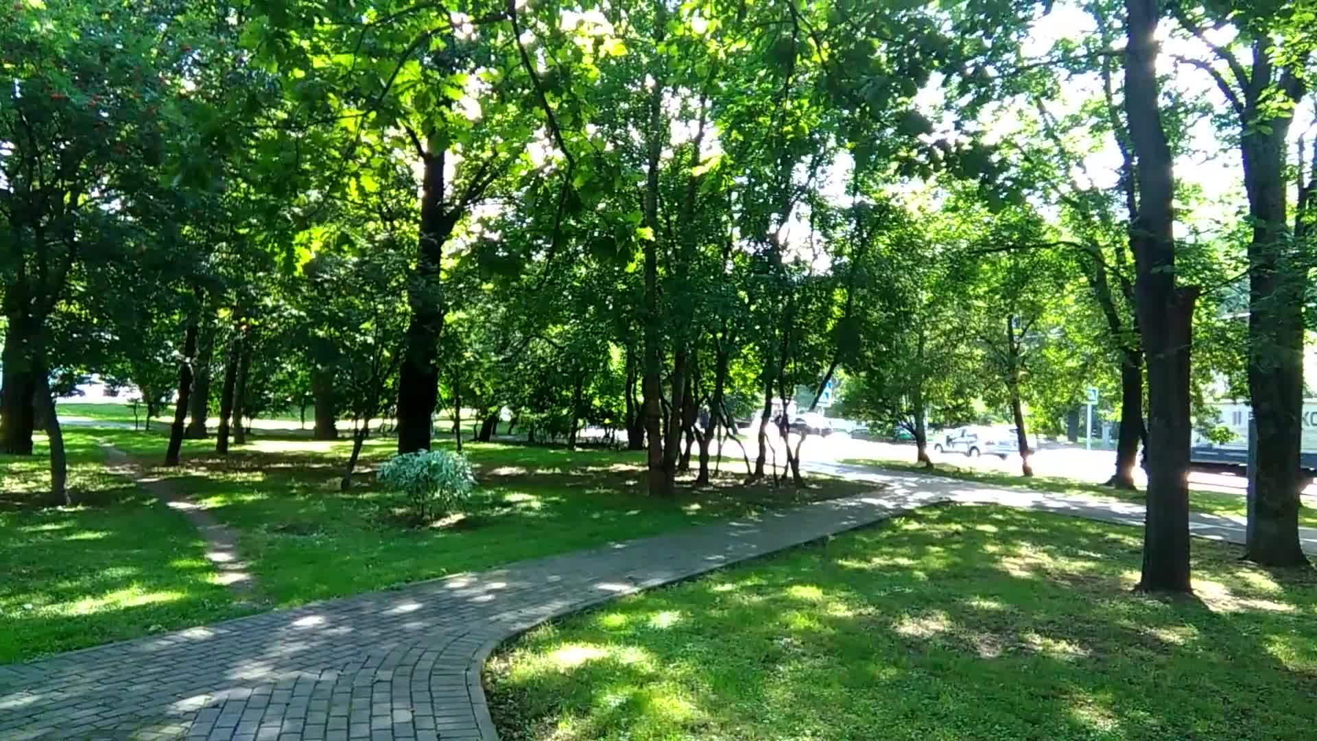 30s test