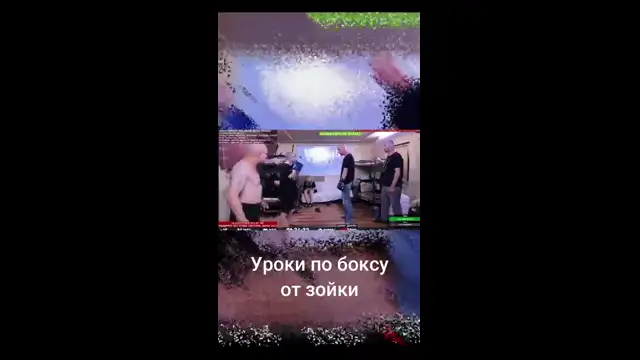 Уроки по боксу от зойки