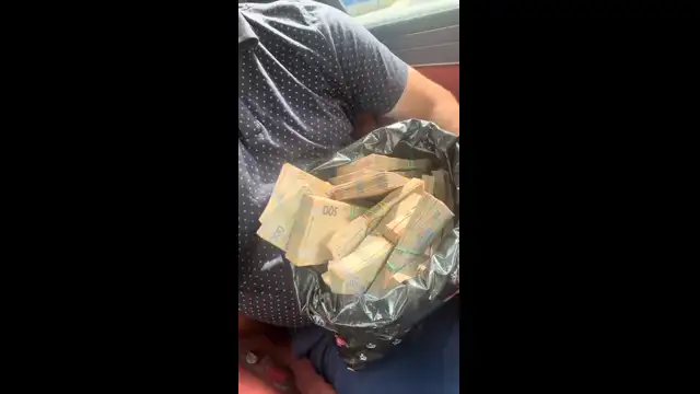 Поцикотели