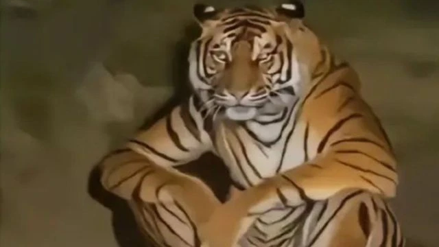 Трейлер Фаллаут 2 сезон