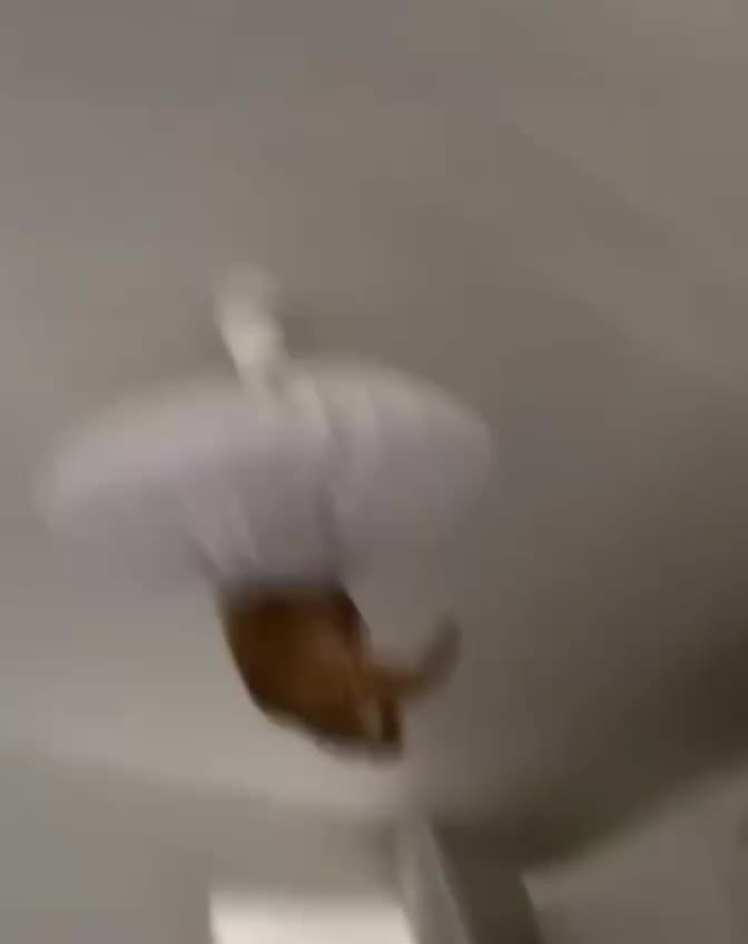 video2025-05-2018-40-45