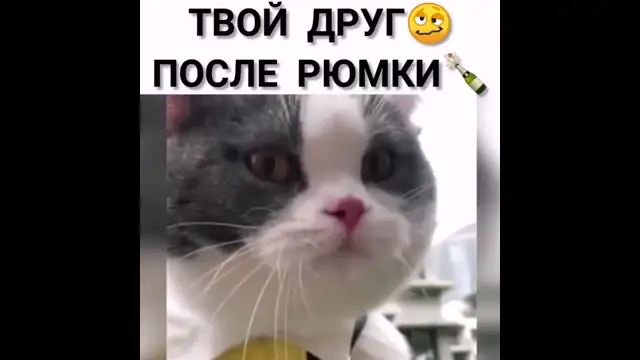 video2025-05-2223-58-31