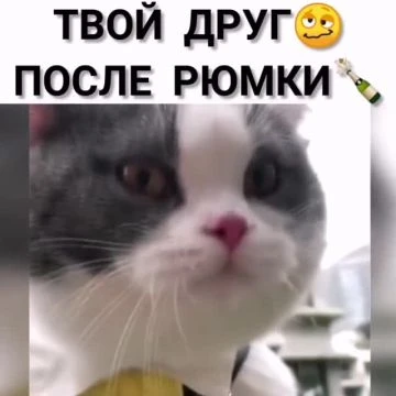 video2025-05-2223-58-31