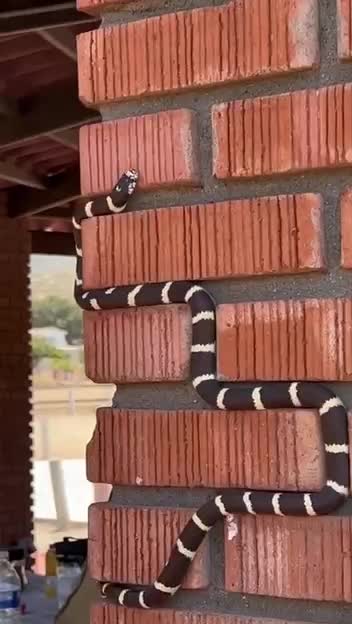 video2025-05-2416-22-45