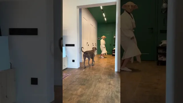 Переиграл и уничтожил получается 😂😂😂