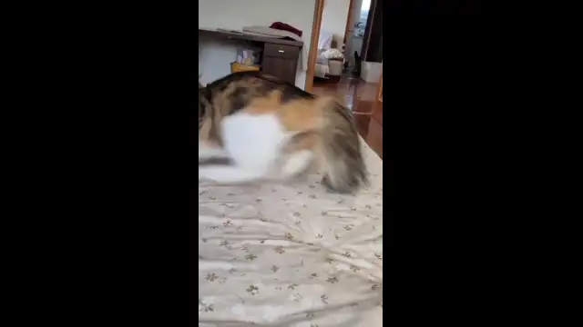 во какой
