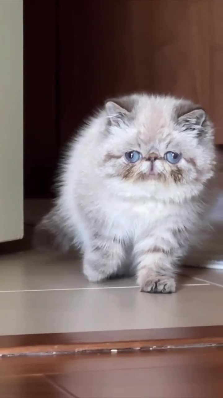 милаха