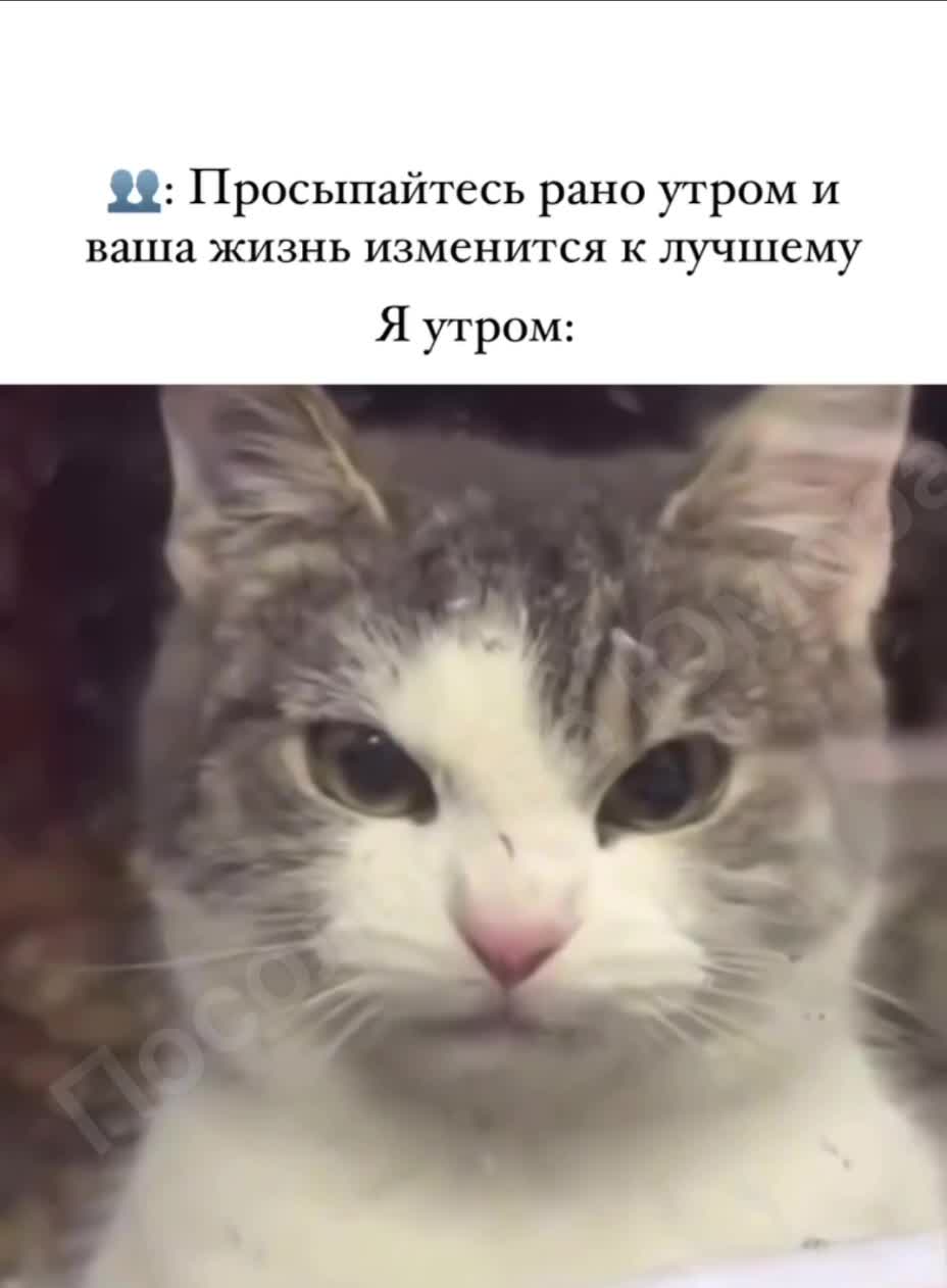 я утром