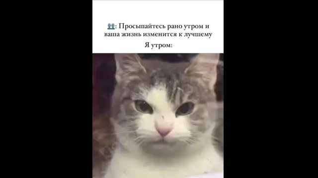 я утром