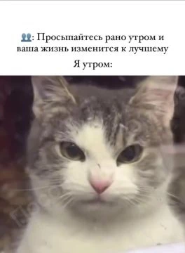 я утром
