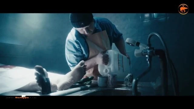 Ленинград — ЗОЖ