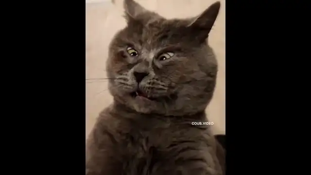хорошо