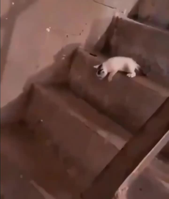 бум