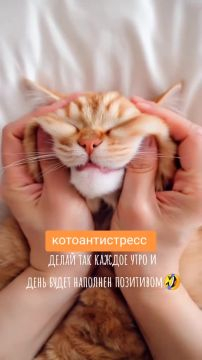 утро