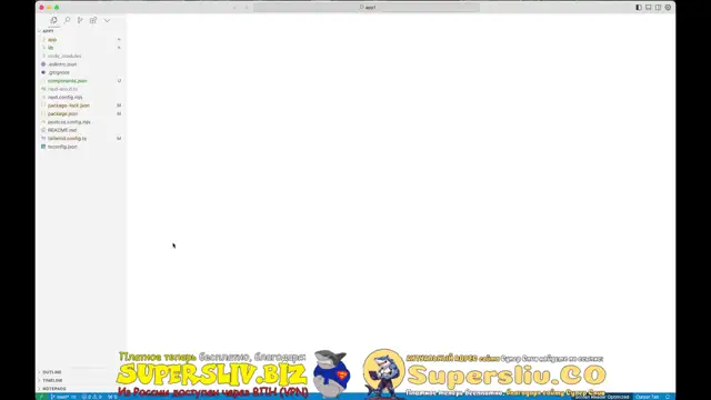 [SuperSliv-biz] 1- Frontend (Nextjs, shadcn)