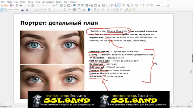[SSL-BAND] 21-Портрет детальный план