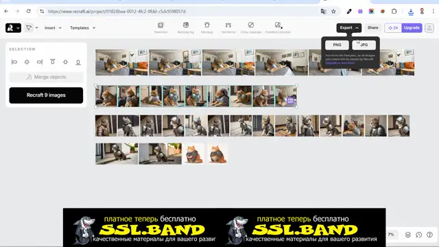 [SSL-BAND] 08-Экспорт фото