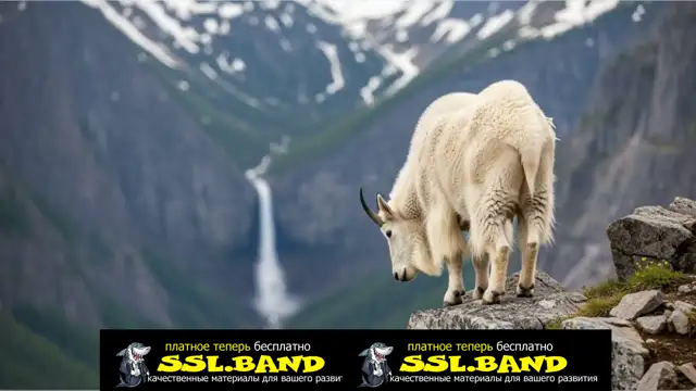 [SSL-BAND] 15-Пейзажи