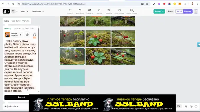 [SSL-BAND] 12-Грибы, ягоды, цветы